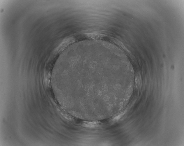 X0000085040671200703191234