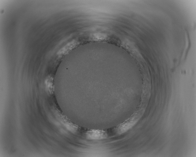 X0000085040672200703191234