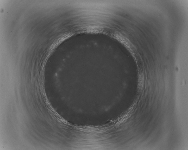 X0000085040673200703191234