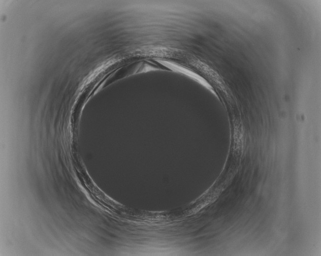 X0000085040674200703191234