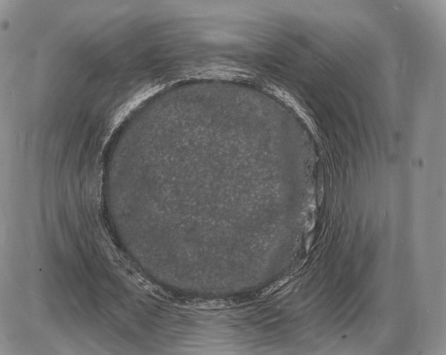 X0000085040675200703191234