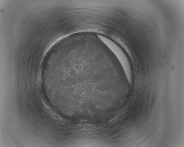 X0000085040676200703191234