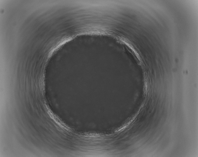 X0000085040677200703191234