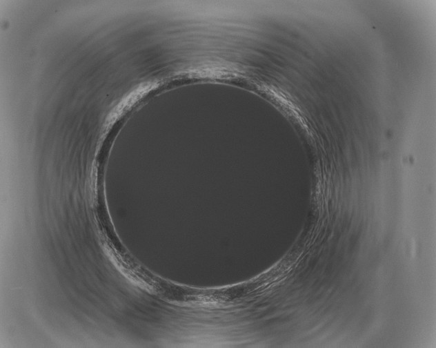 X0000085040678200703191234