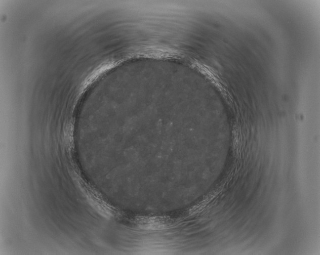 X0000085040679200703191234