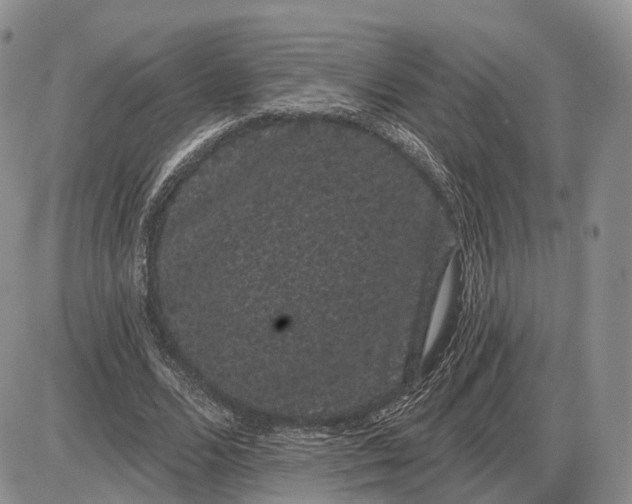 X0000085040680200703191234