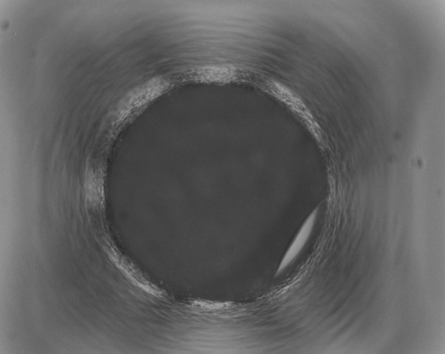 X0000085040681200703191234