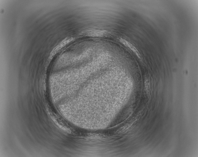 X0000085040682200703191234