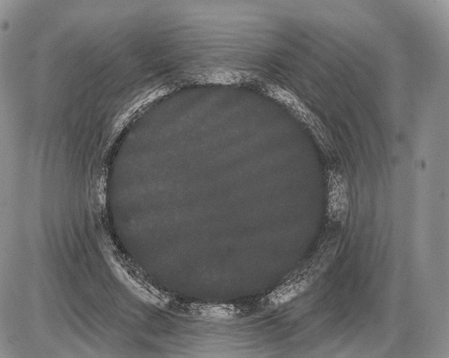 X0000085040683200703191233