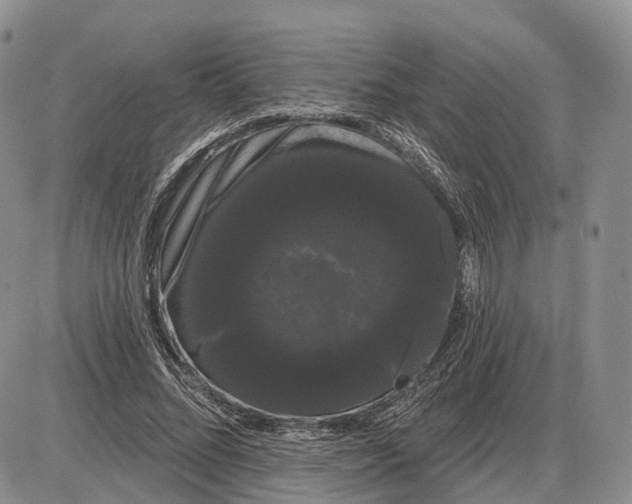 X0000085040684200703191233