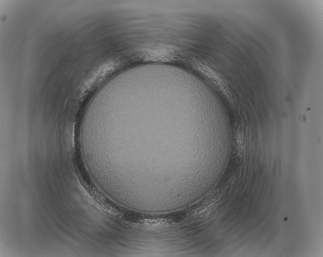 X0000085040686200703191233