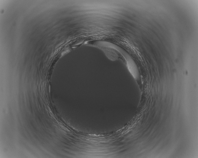 X0000085040689200703191233