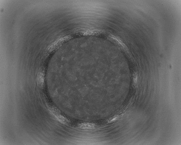 X0000085040691200703191233