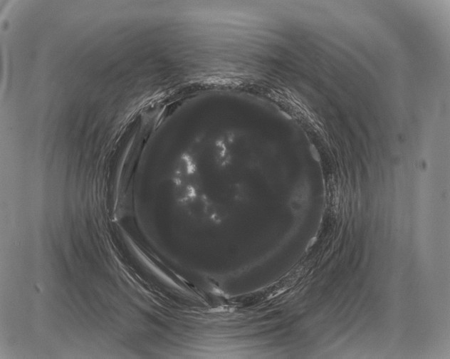 X0000085040692200703191233