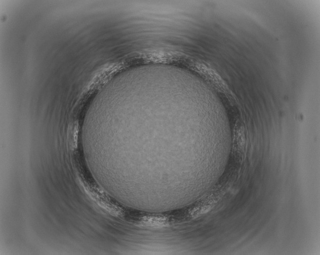 X0000085040694200703191233