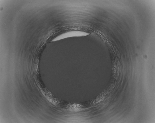 X0000085040695200703191233