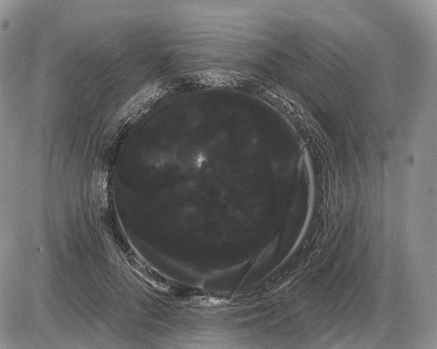 X0000085040696200703191233