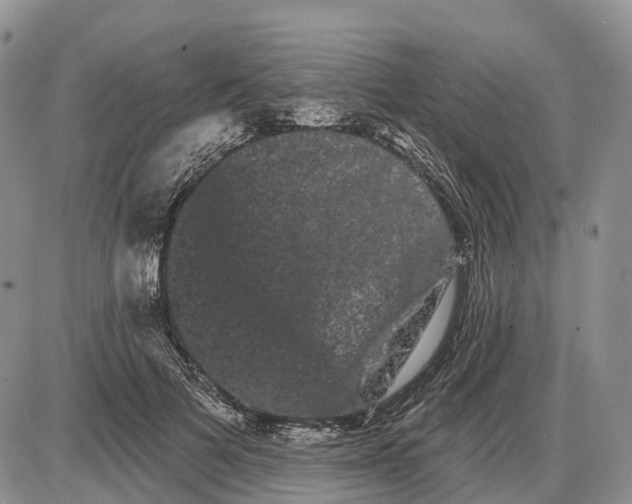 X0000085040697200703191233