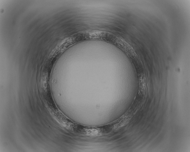 X0000085040698200703191233