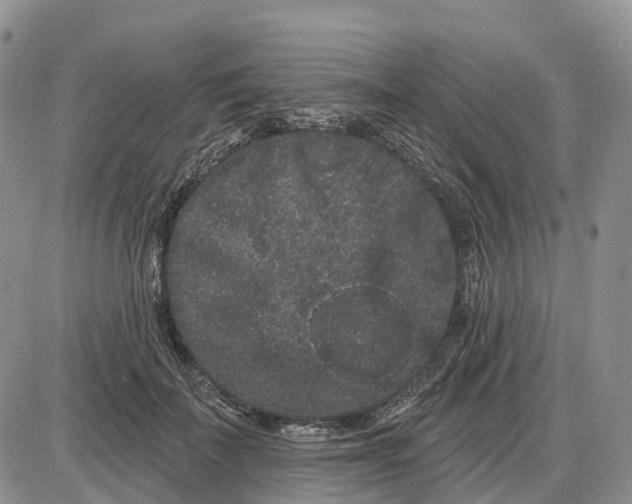 X0000085040699200703191233