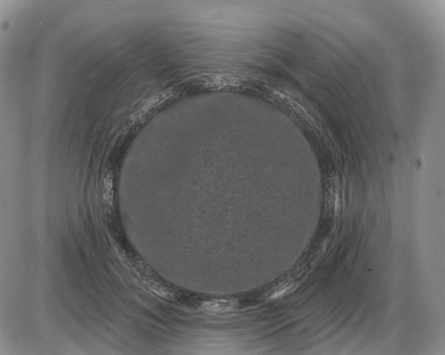 X0000085040700200703191233