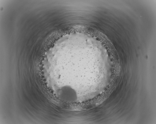 X0000085040701200703191233