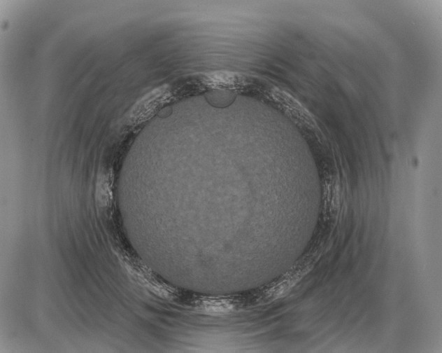 X0000085040702200703191233