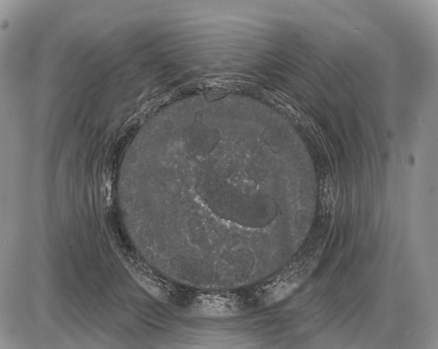 X0000085040703200703191233