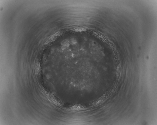 X0000085040704200703191233