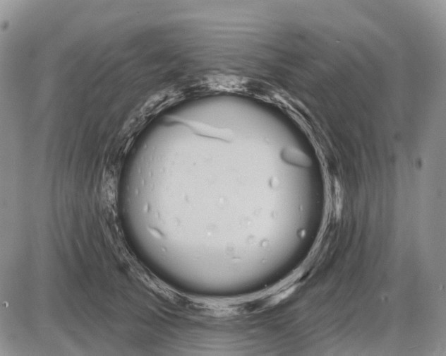 X0000085040705200703191233