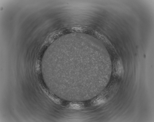 X0000085040706200703191233