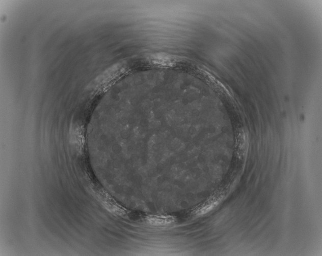 X0000085040707200703191233