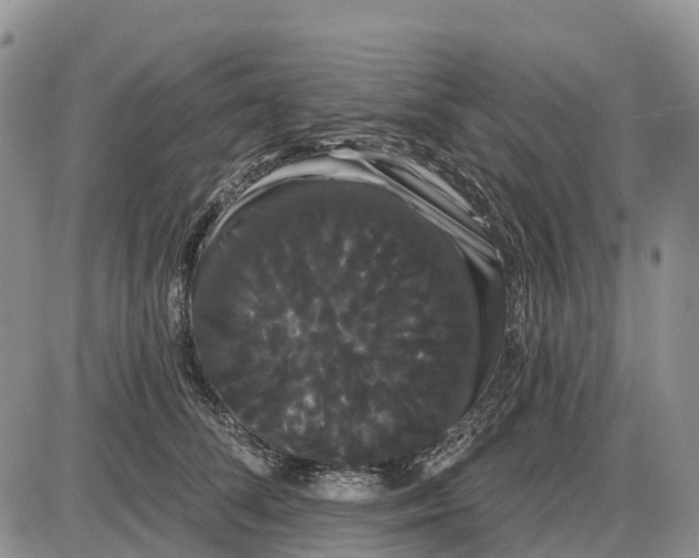 X0000085040708200703191233