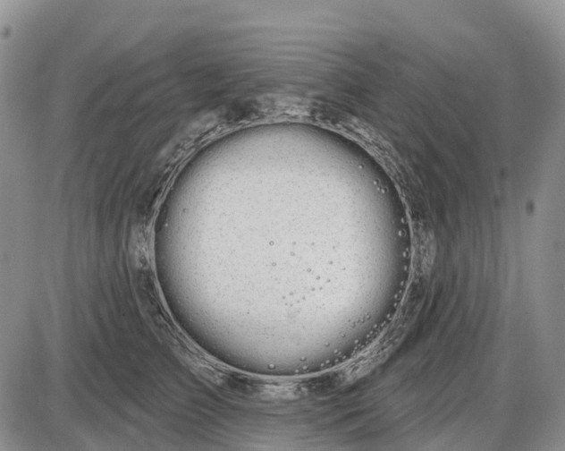 X0000085040709200703191233