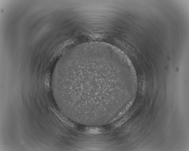 X0000085040710200703191233