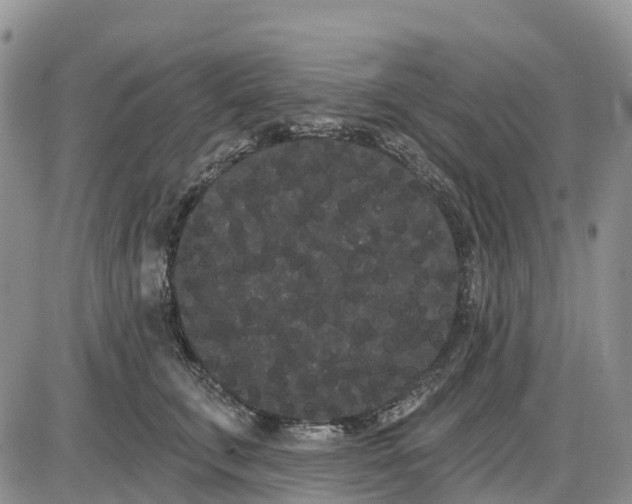 X0000085040711200703191233