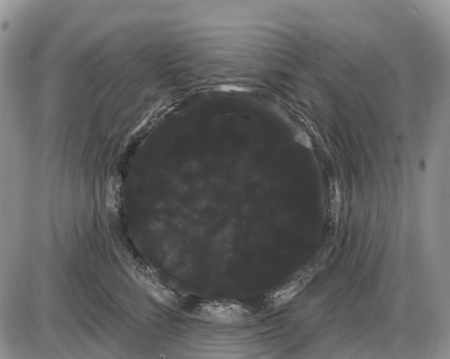 X0000085040712200703191233