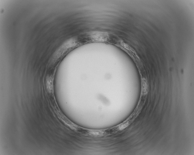 X0000085040713200703191233