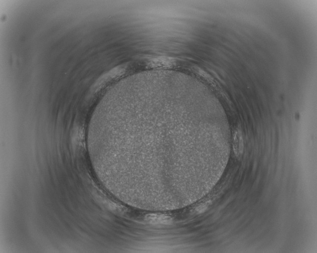 X0000085040714200703191233