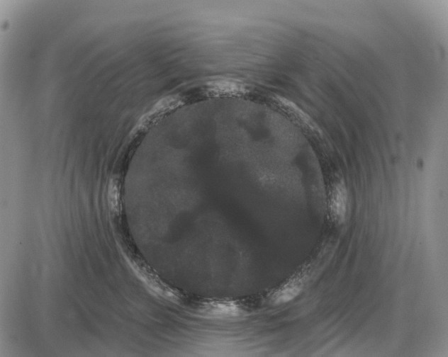 X0000085040715200703191233