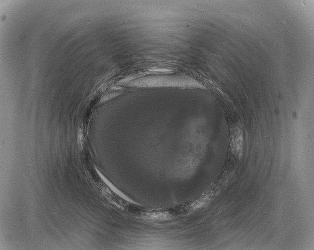 X0000085040716200703191233