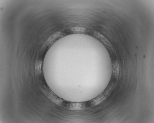 X0000085040717200703191233