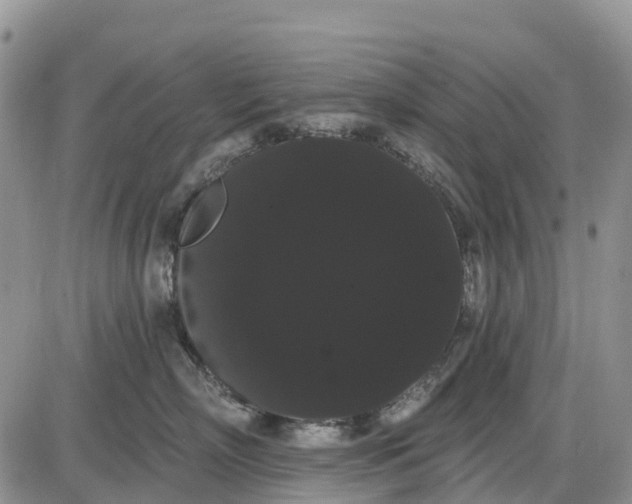 X0000085040718200703191233