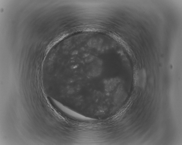 X0000085040721200703191232