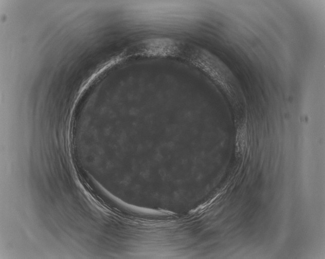 X0000085040722200703191232