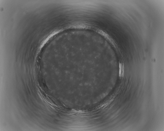 X0000085040723200703191232