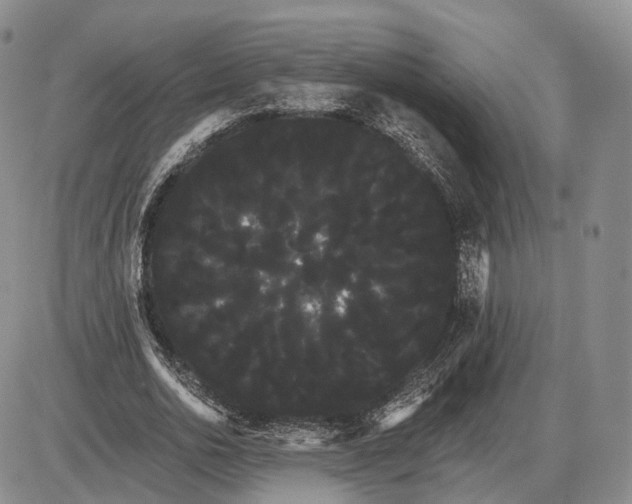 X0000085040726200703191232