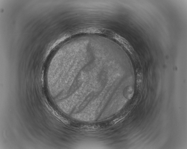 X0000085040727200703191232