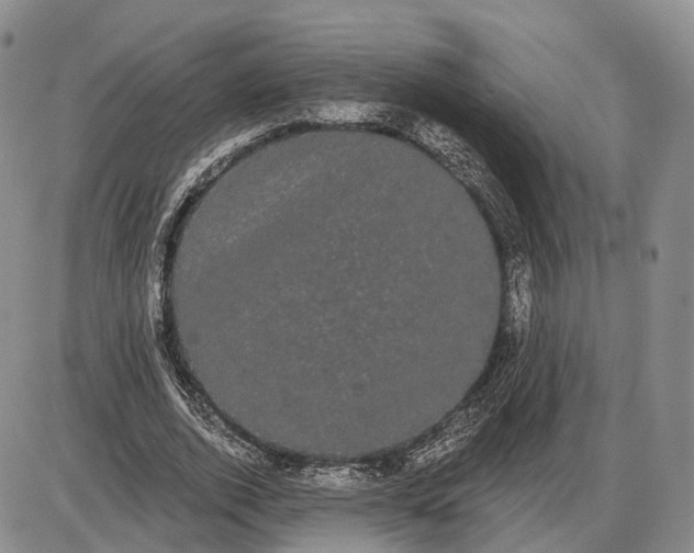 X0000085040728200703191232