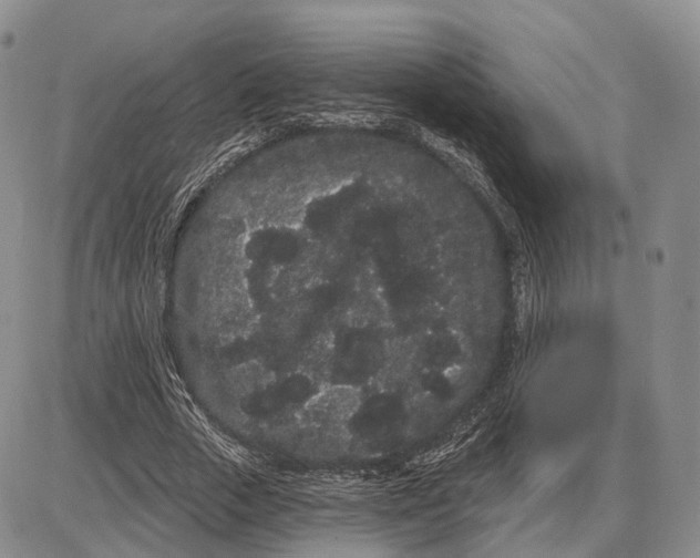 X0000085040729200703191232